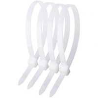 淮舜物资 自锁式尼龙扎带 3.6*250mm 单位包