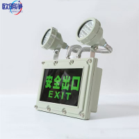 LED防爆应急灯消防通道指示标识灯 2*5W 套