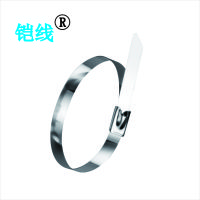 铠线 电料辅件 电力金具 不锈钢扎带 12mm 12*300mm(100根)/包