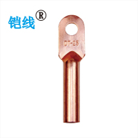 铠线 金具 铜接线端子 DT-25/个