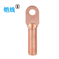 铠线 金具 铜接线端子 DT-95/个