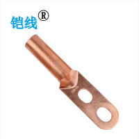 铠线 金具 铜接线端子(双孔) DT-120/个