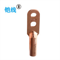 铠线 金具 铜接线端子(双孔) DT-95/个