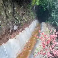 CXM 蔡晓民 XIAO MIN CAI+复合卷材+5h速凝FHjSN1-10-4+平方米