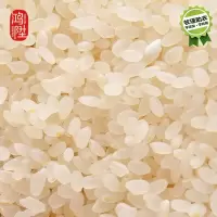 鸿陞 黄金胚芽米 5kg 袋