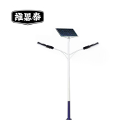 维思泰 双头太阳能路灯 WST-STD7 个