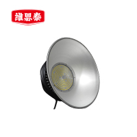 维思泰 天棚灯 WST-TP150 个