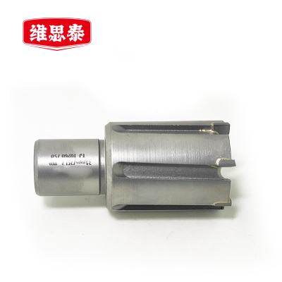 维思泰 硬质合金空心钻头 31*25mm 个