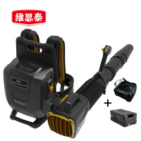 维思泰 锂电吹风机除雪机暴风机吹雪机 WST-LDC82V(背负式一电一充) 台