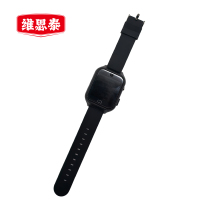 维思泰 智能安防监控终端 WST-5131A 个