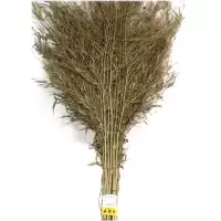 竹扫把 扫帚 金枝 中号 把