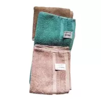 毛巾素雅系列(95克) 32*70cm 条