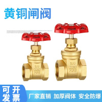 鑫迈凯斯 铜闸阀 DN25个