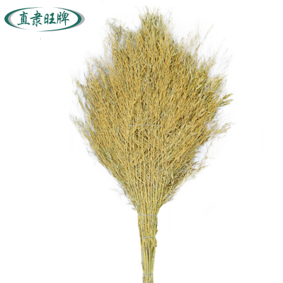 直隶旺牌 大扫把 ZHILI20240603 个