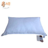 奉妍 枕芯 45*75cm 个