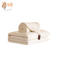 奉妍 二合一蚕丝子母被 FY-0035 条
