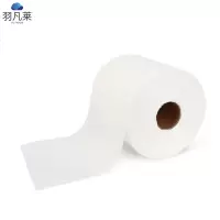 工业擦拭纸无尘纸500张/卷 25*38cm 卷