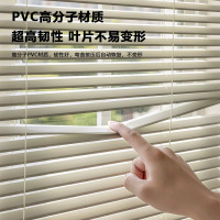 诚智旺 百叶窗帘PVC防窥全遮光卷帘QZL-1/平方米