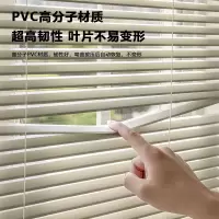 诚智旺 百叶窗帘PVC防窥全遮光卷帘QZL-1/平方米