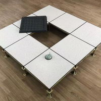 诚智旺 PVC防静电地板 FJD-3 /平方米