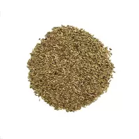 诚智旺 矮杆向日葵种子 净籽/千克