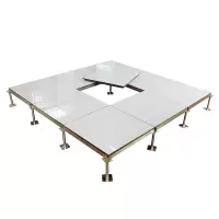 诚智旺 陶瓷面防静电地板含配件 600*600*40mm/块