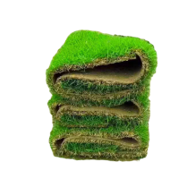 诚智旺 草坪草皮 LCP-3 /平方米