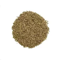 诚智旺 除虫菊花籽100g 净籽/袋