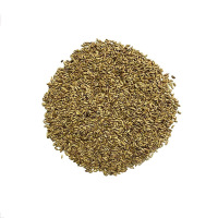 诚智旺 除虫菊花籽100g 净籽/袋