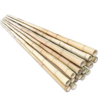 诚智旺 竹竿 直径2cm长2m /根