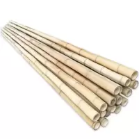 诚智旺 竹竿 直径2cm长2m /根