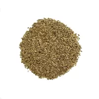 诚智旺 四季野花种子 净籽/千克