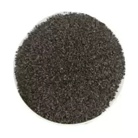 诚智旺 薄荷种子 1000粒/包