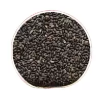 诚智旺 矮一串红花籽 500粒/包