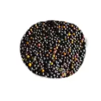 诚智旺 七彩油菜花籽 QCH-1/千克