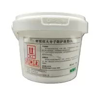 诚智旺 树枝状大分子防护涂层 透明色 1.2kg+0.3kg /组