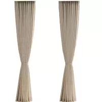 诚智旺 防火阻燃布帘 ZBL-1 /米