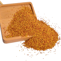 诚智旺 白三叶草种子 净籽/千克