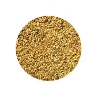 诚智旺 大叶紫花苜蓿种子 净籽/千克