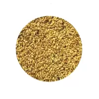 诚智旺 大叶紫花苜蓿种子 净籽/千克