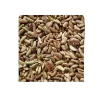 诚智旺 紫穗槐带壳种子 净籽/千克