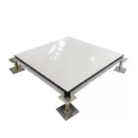 诚智旺 陶瓷面防静电地板含配件 600*600*35mm/块