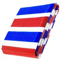 诚智旺 彩布条 双面覆膜 120g/平方米