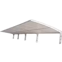 诚智旺 膜结构车棚 MJG-1 /平方米