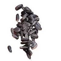 诚智旺 玩具熊向日葵花籽 500g /袋