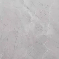 诚智旺 亚克力台面板 60*20cm 块