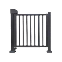 诚智旺 遥控小门 YKM-1/套