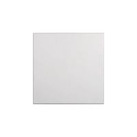 诚智旺 铝扣板含安装 600*600mm /平方米