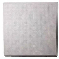 诚智旺 高晶硅钙板含龙骨 GGB-1/平方米