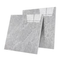 诚智旺 瓷砖 600*600mm /块